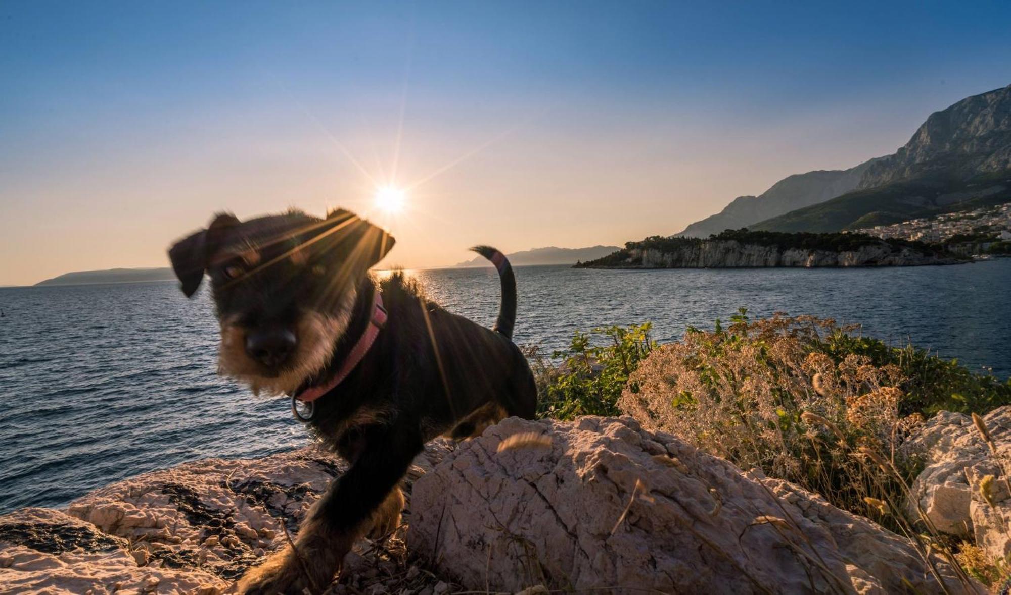 Studio Apartmani Ivanda Makarska Luaran gambar